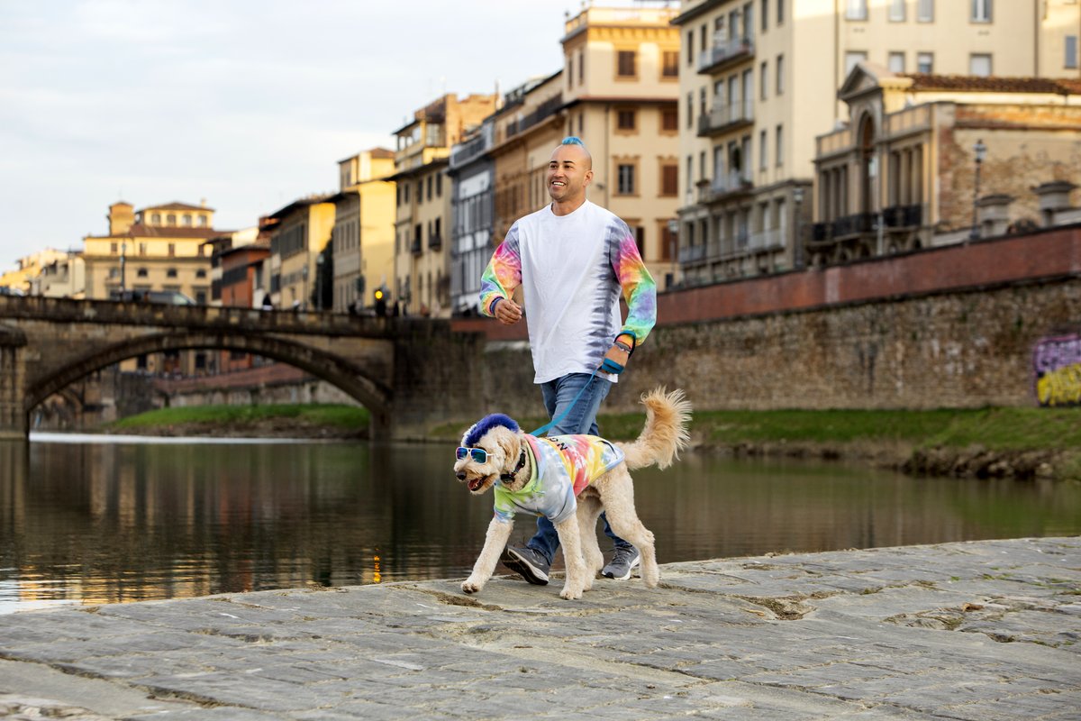 Photo du film The Pack [2020]