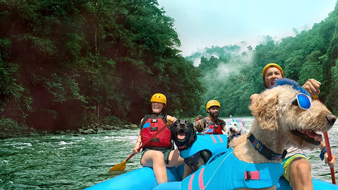 Photo du film The Pack [2020]