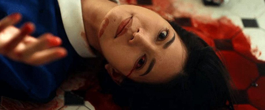 Photo du film The Maid [2020]