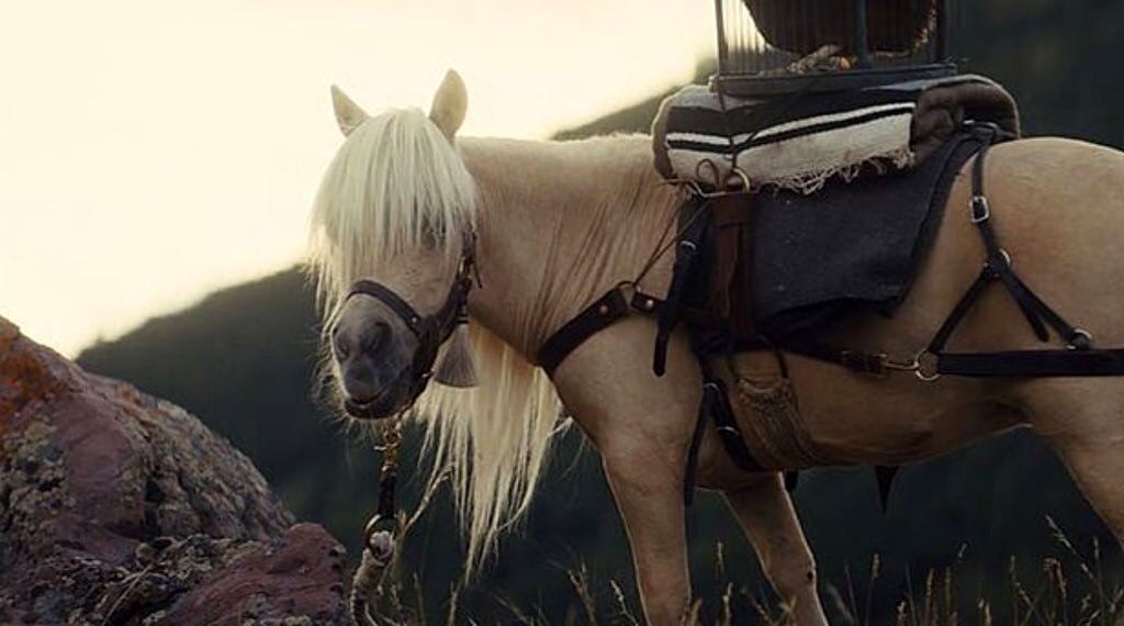 Photo du film Damsel