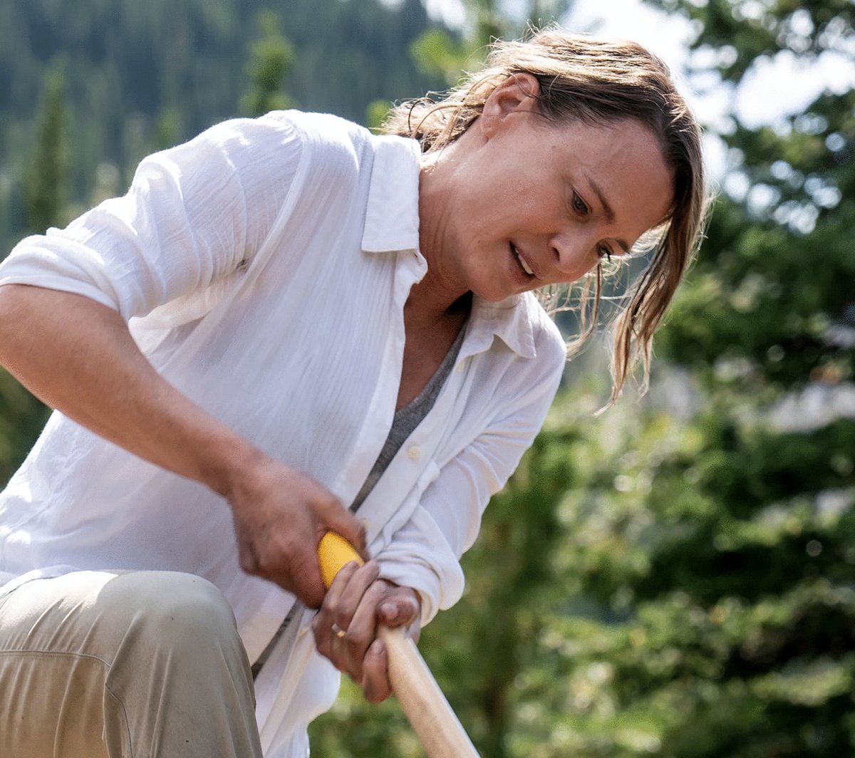 Photo from the movie Land [2021]