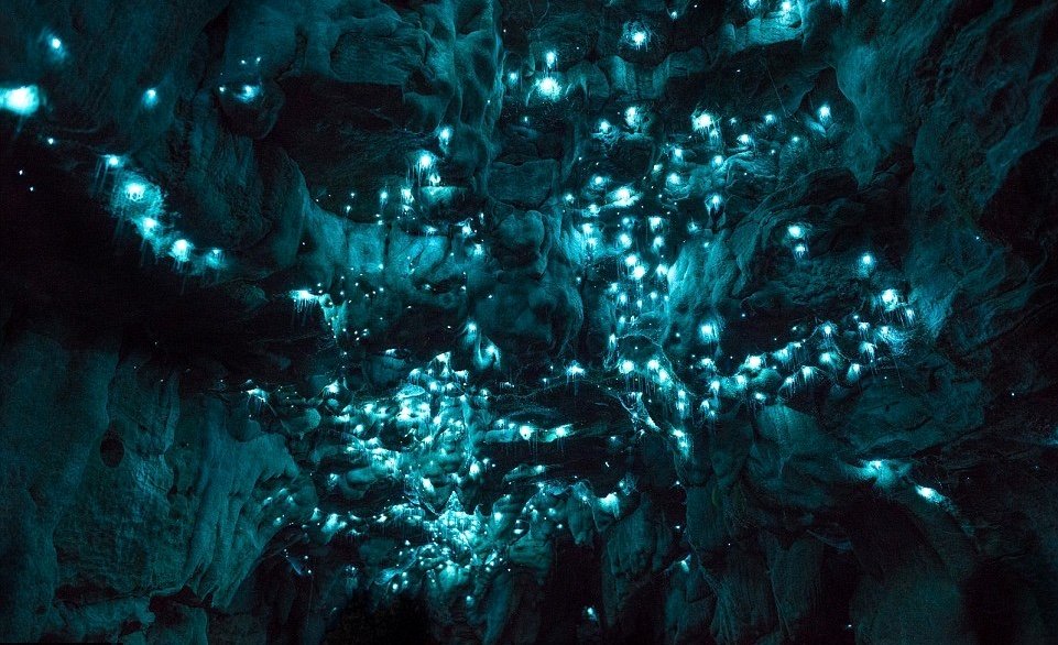 Photo du film One Strange Rock