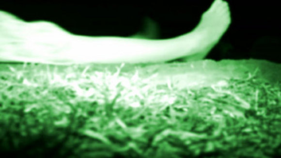 Photo from the movie The Poughkeepsie Tapes