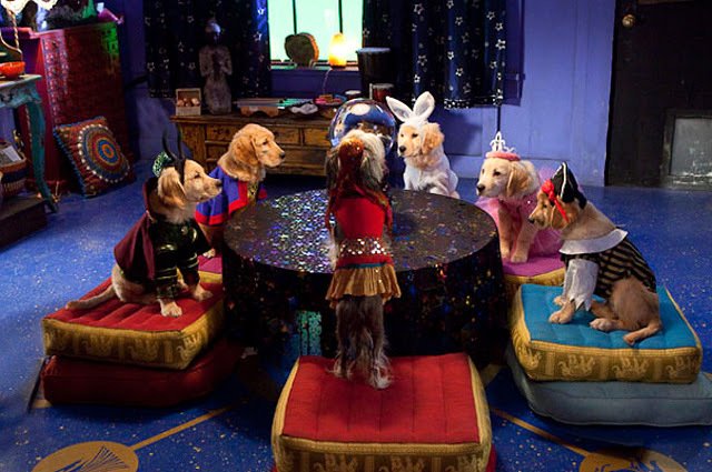 Photo du film Spooky Buddies