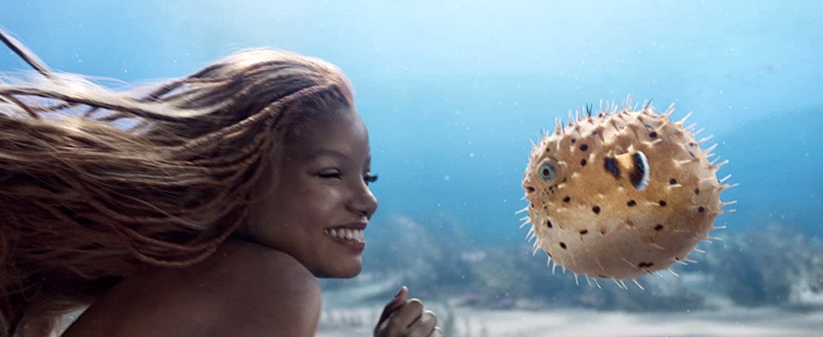 Photo du film The Little Mermaid