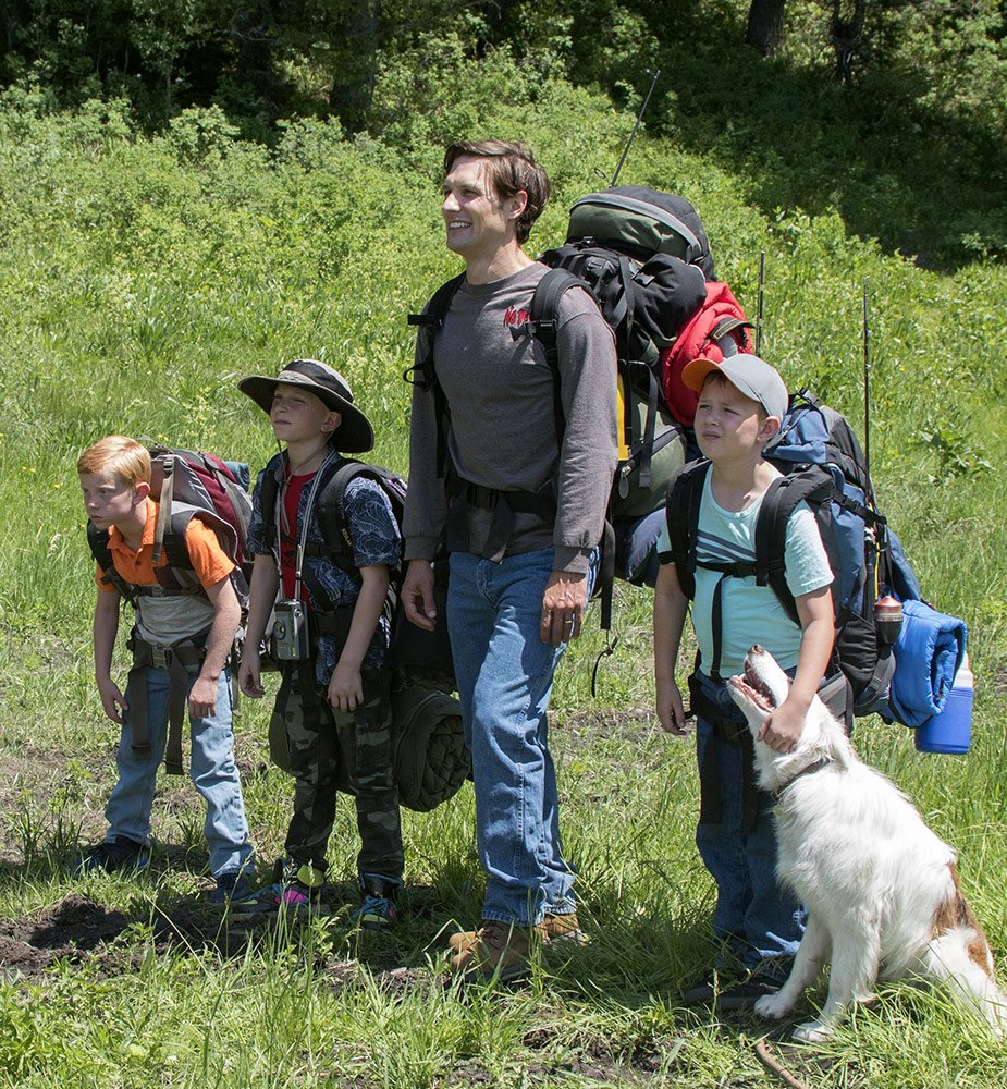 Photo from the movie The Stray [2017]