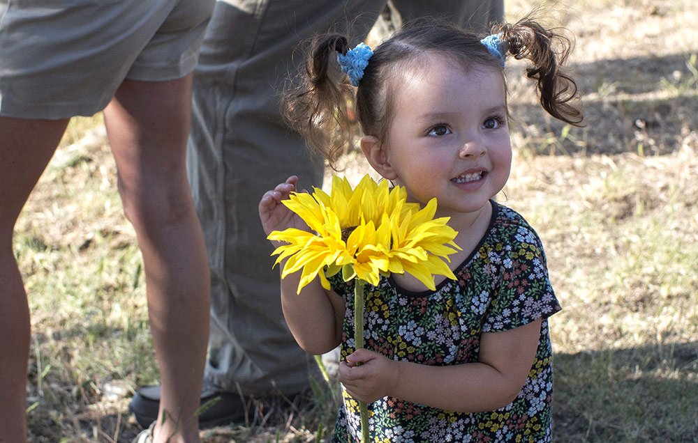 Photo from the movie The Stray [2017]