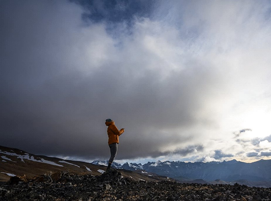 Photo du film Wild Life [2023]