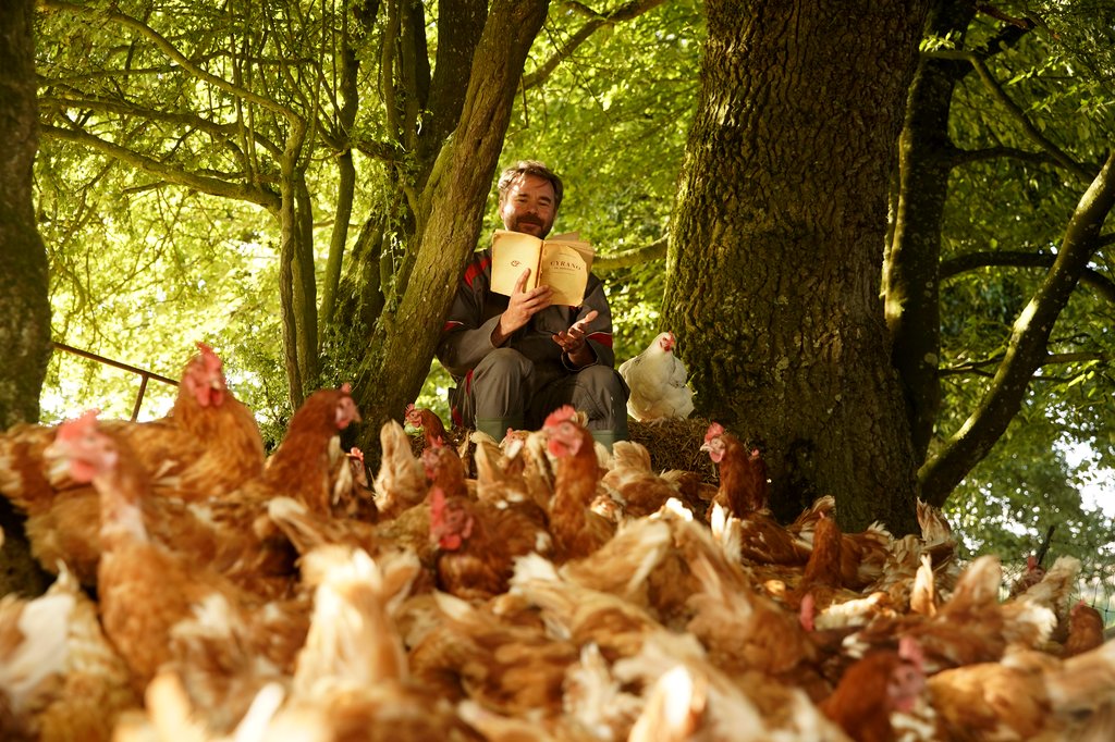 Photo from the movie Roxane [2019]