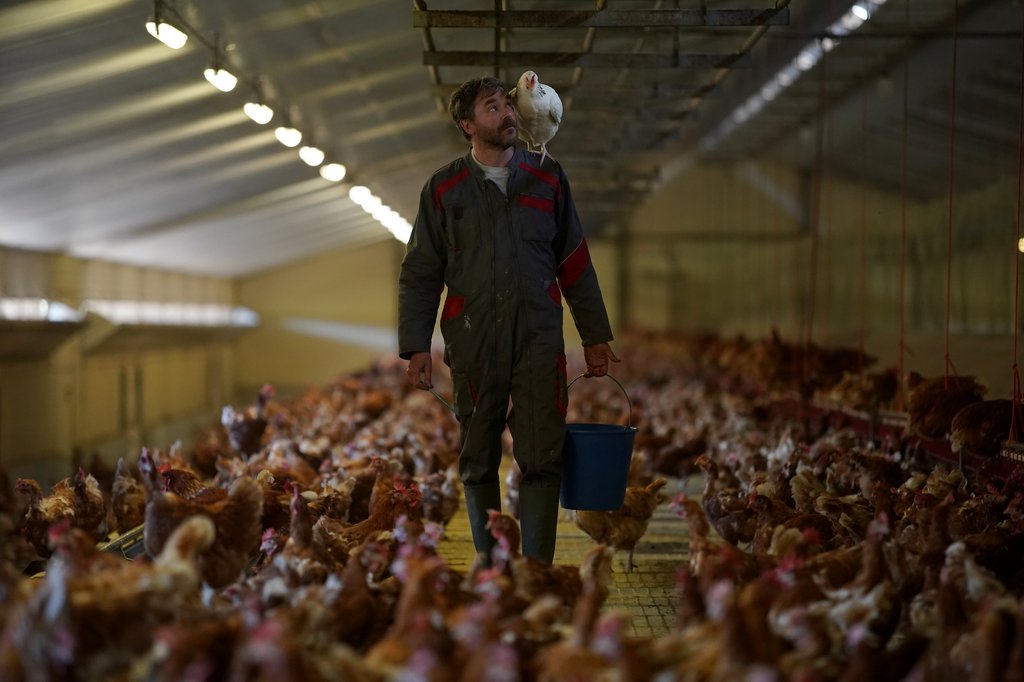 Photo from the movie Roxane [2019]