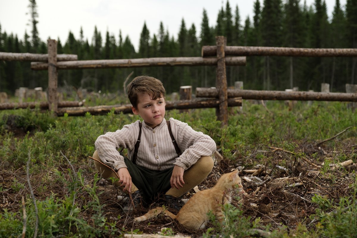 Photo du film Maria Chapdelaine