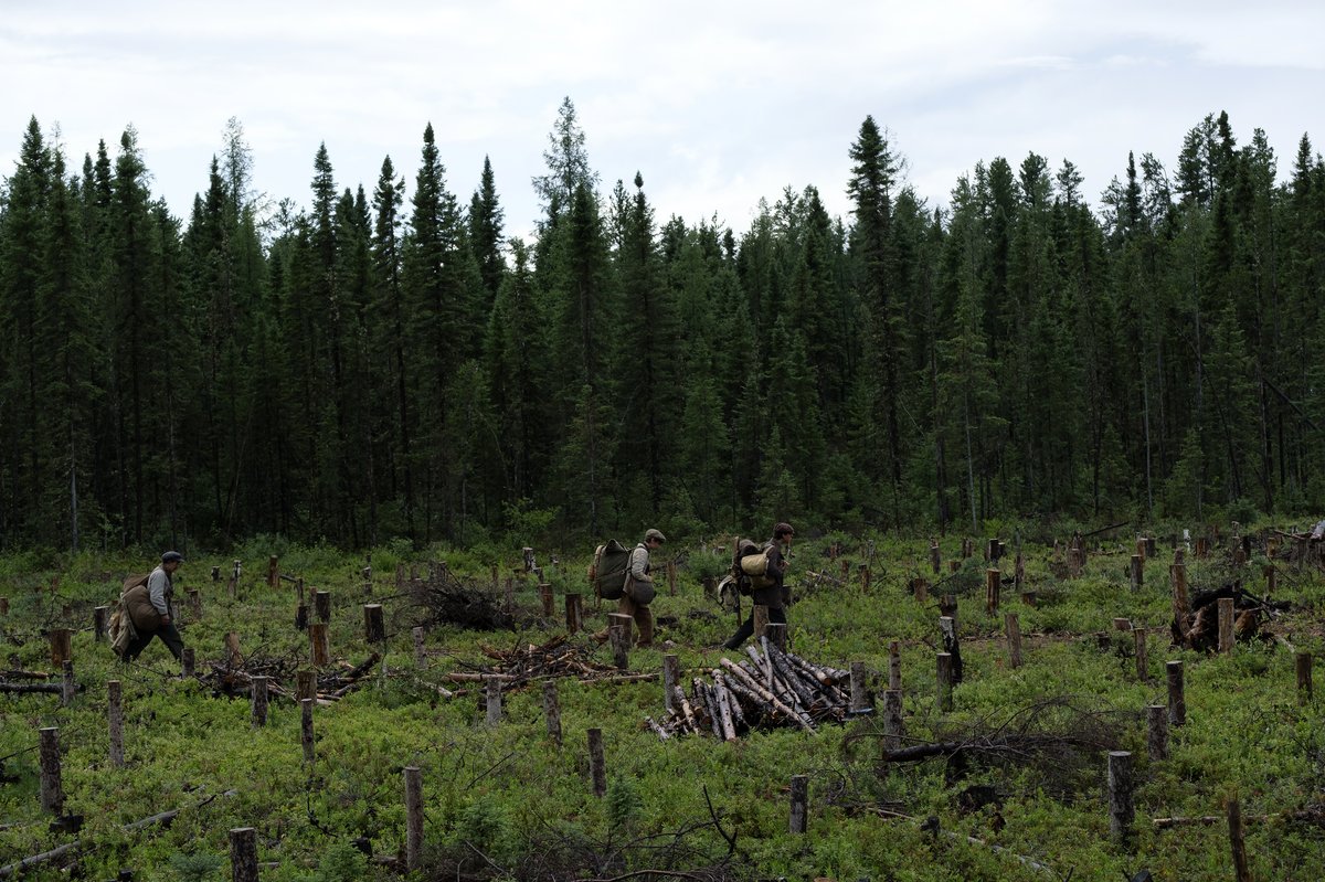 Photo du film Maria Chapdelaine