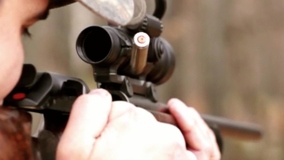 Photo du film Medicine of the Wolf