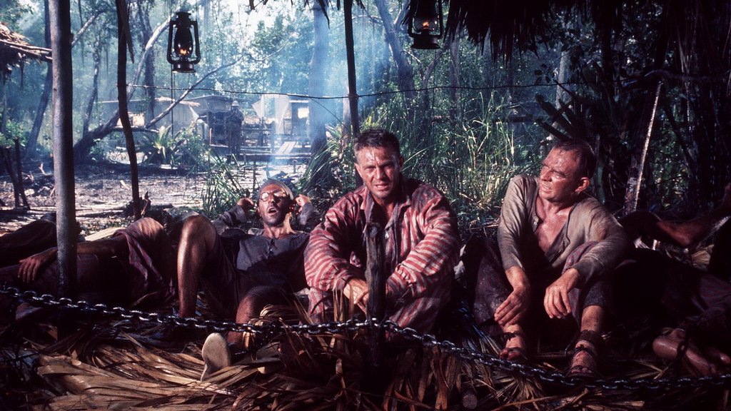 Photo du film Papillon