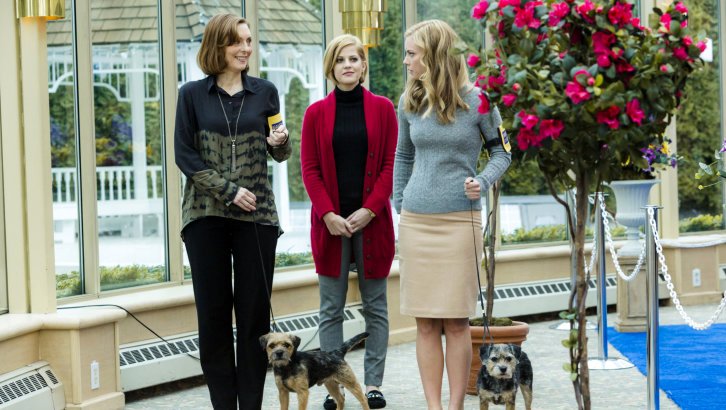 Photo du film Unleashing Mr. Darcy