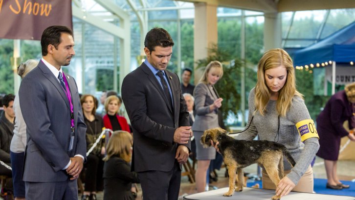 Photo du film Unleashing Mr. Darcy