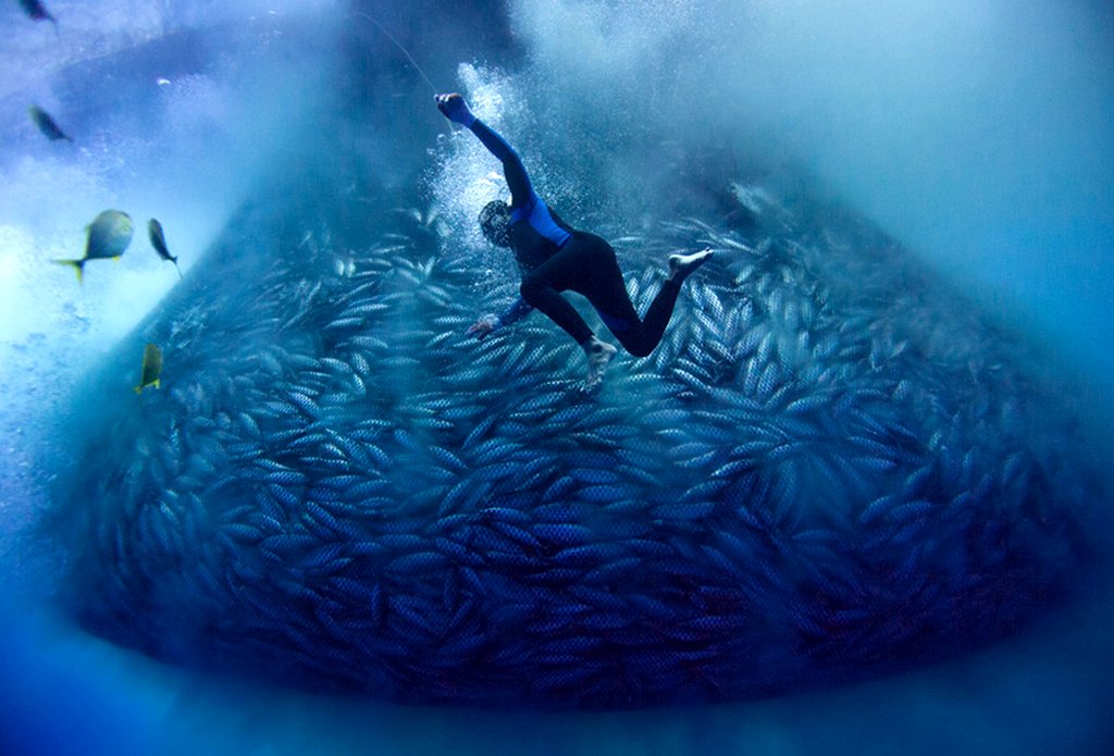 Photo from the movie Blue