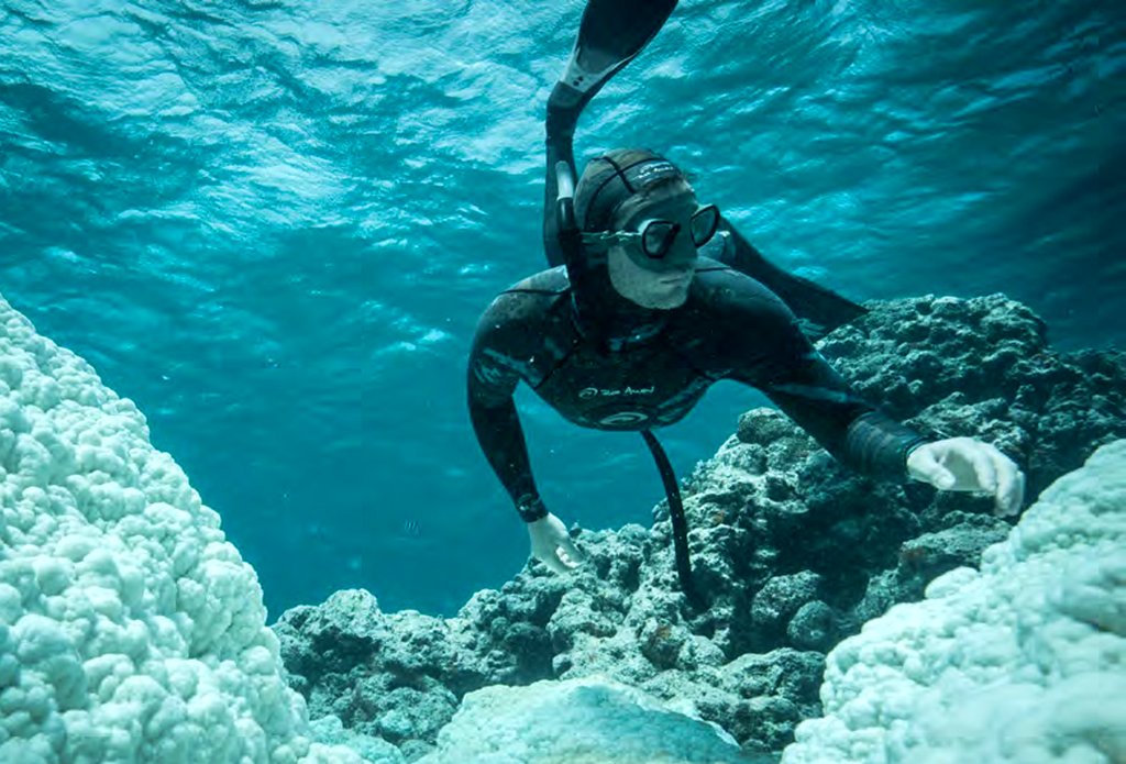 Photo from the movie Blue