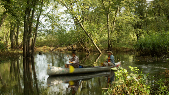 Photo du film WaterWalk