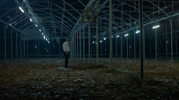 Photo du film Big Bad Wolves