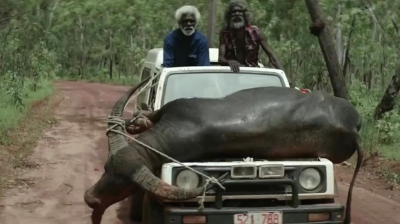 Photo from the movie Charlie's Country [2013]