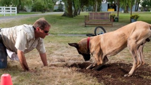 Photo du film Marmaduke