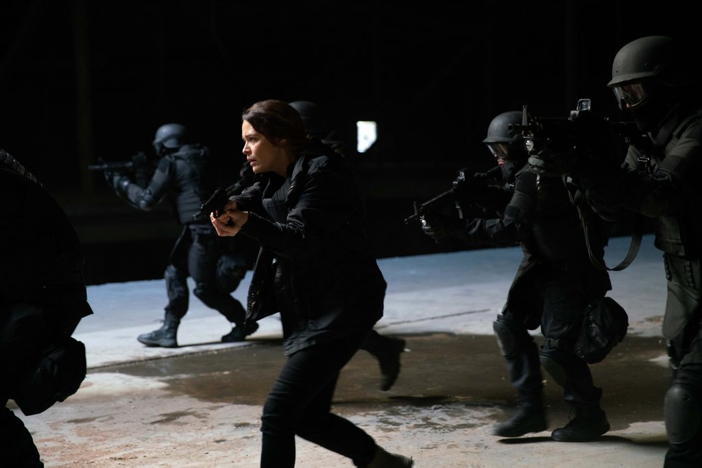 Photo from the movie Stray [2019]