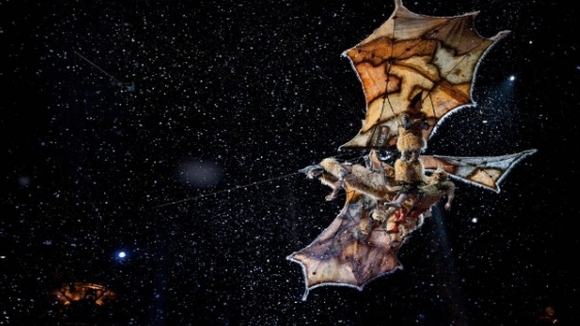 Photo from the movie Cirque du Soleil: Worlds Away [2012]