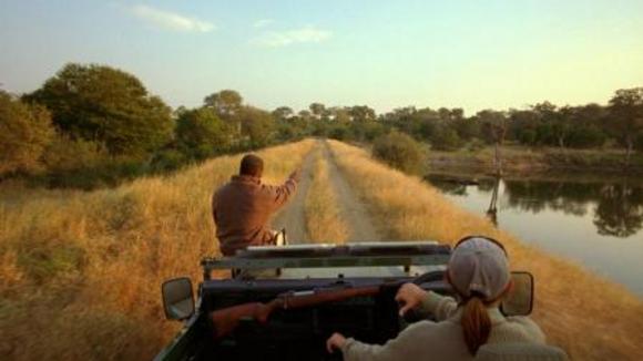 Photo from the movie Wild Safari: A South African Adventure