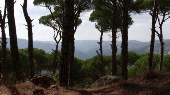 Photo du film The Valley of Tears