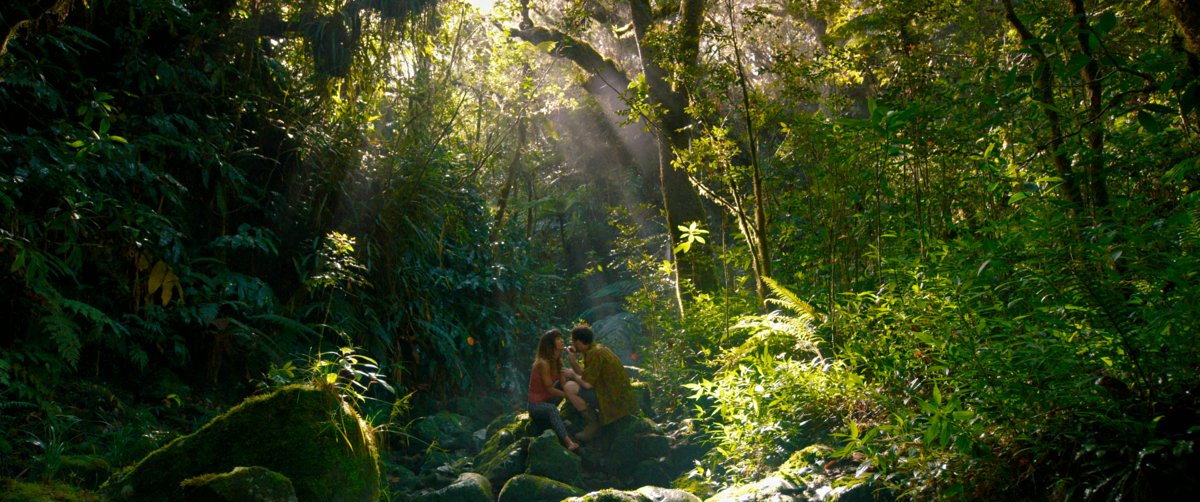 Photo du film Welcome to the Jungle
