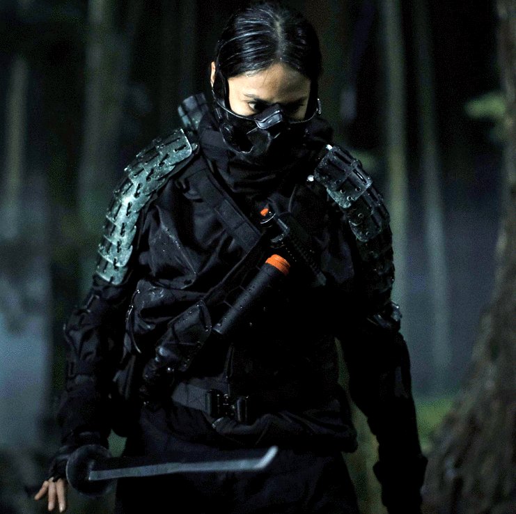 Photo from the movie The Shadow Strays [2024]