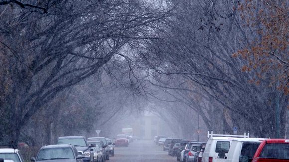Photo du film Ally Was Screaming [2014]