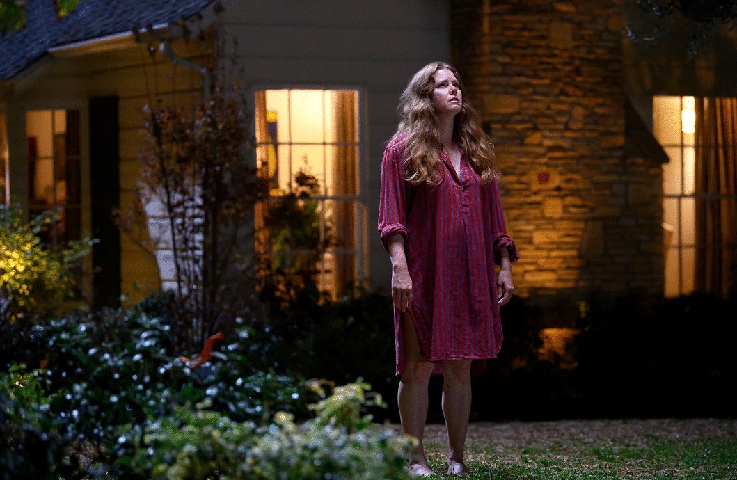 Photo du film Nightbitch