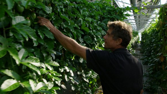 Photo du film Tomorrow