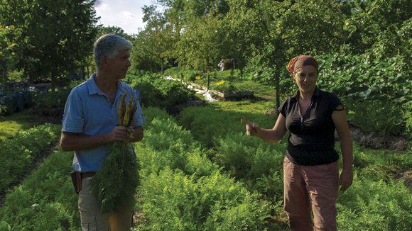 Photo du film Tomorrow