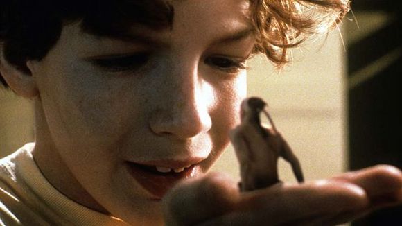 Photo du film The Indian in the Cupboard