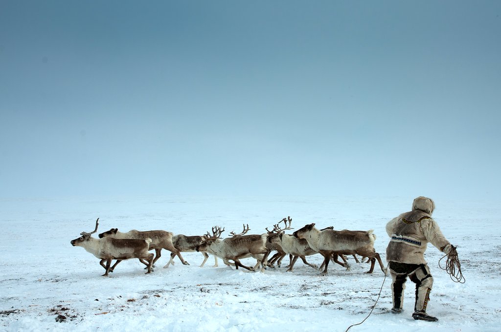 Photo from the movie Passport to the World: The Great North: From Greenland to Siberia [2018]