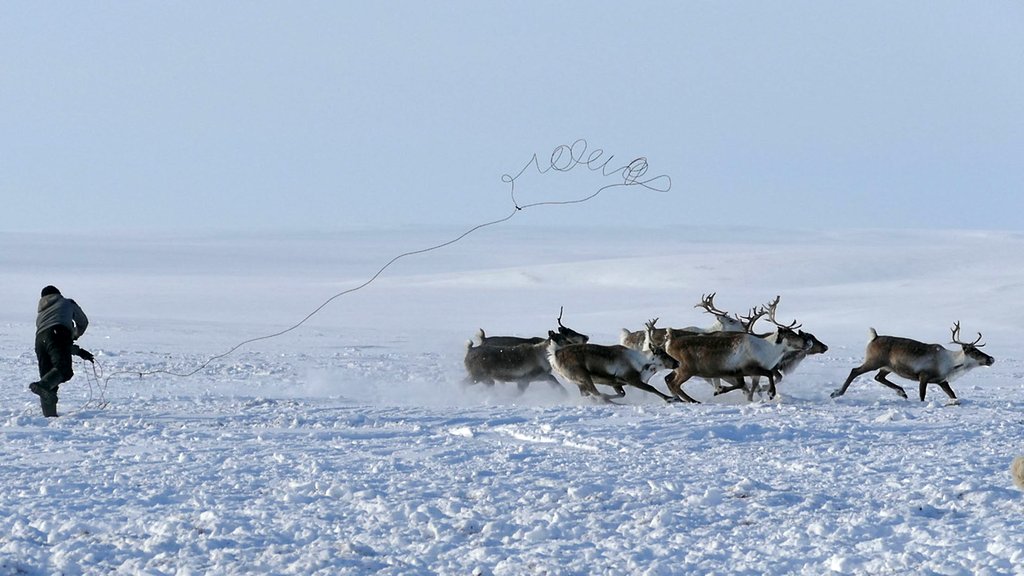 Photo from the movie Passport to the World: The Great North: From Greenland to Siberia [2018]