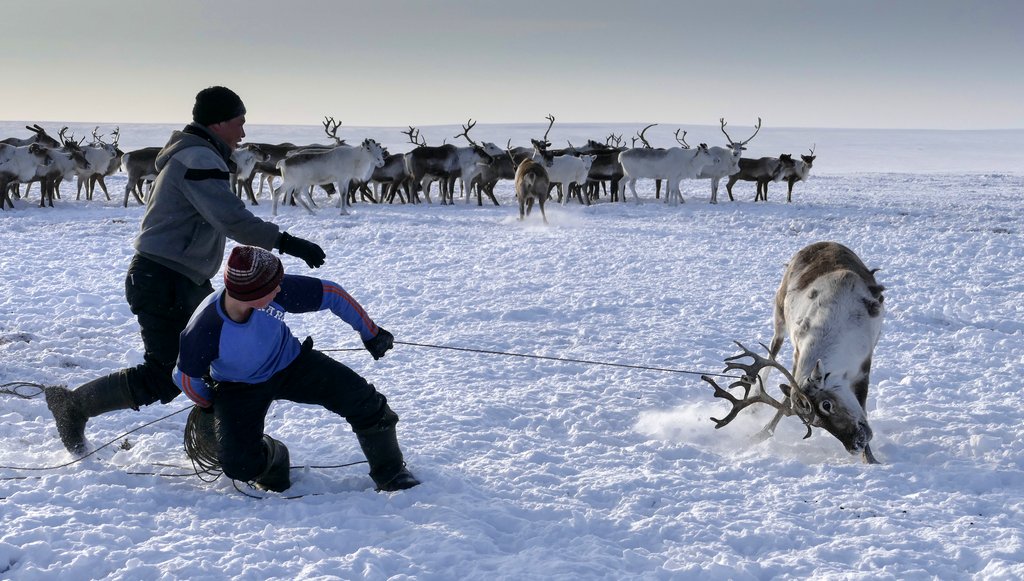 Photo from the movie Passport to the World: The Great North: From Greenland to Siberia [2018]