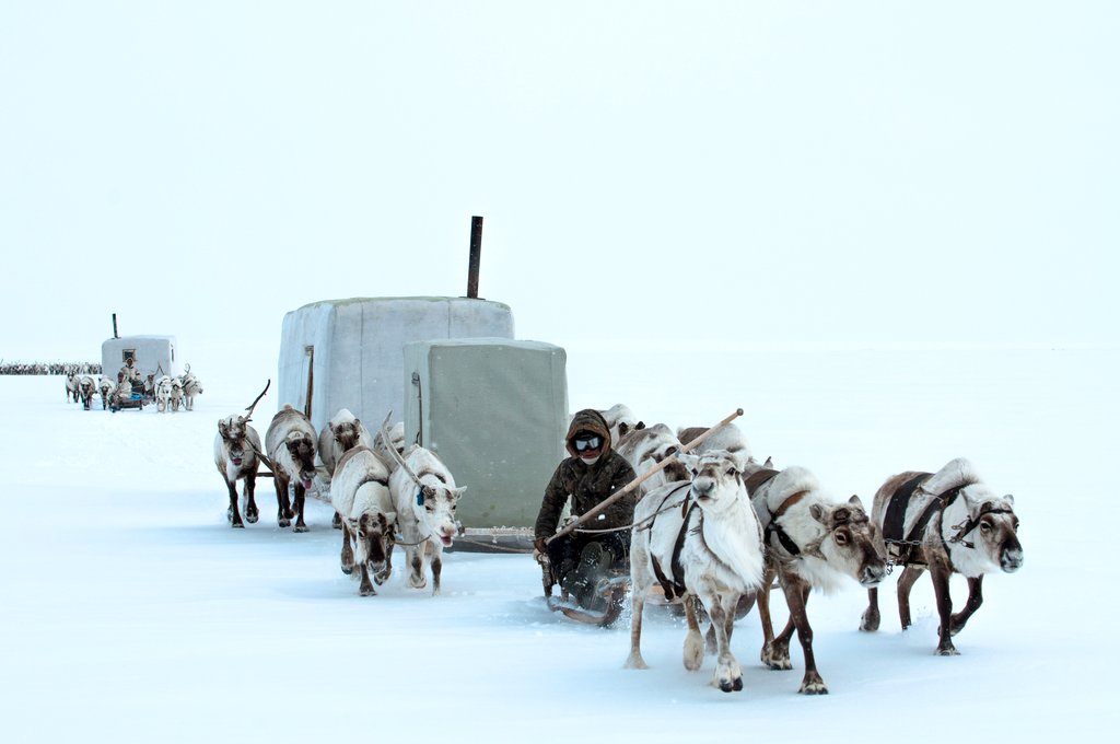 Photo from the movie Passport to the World: The Great North: From Greenland to Siberia [2018]