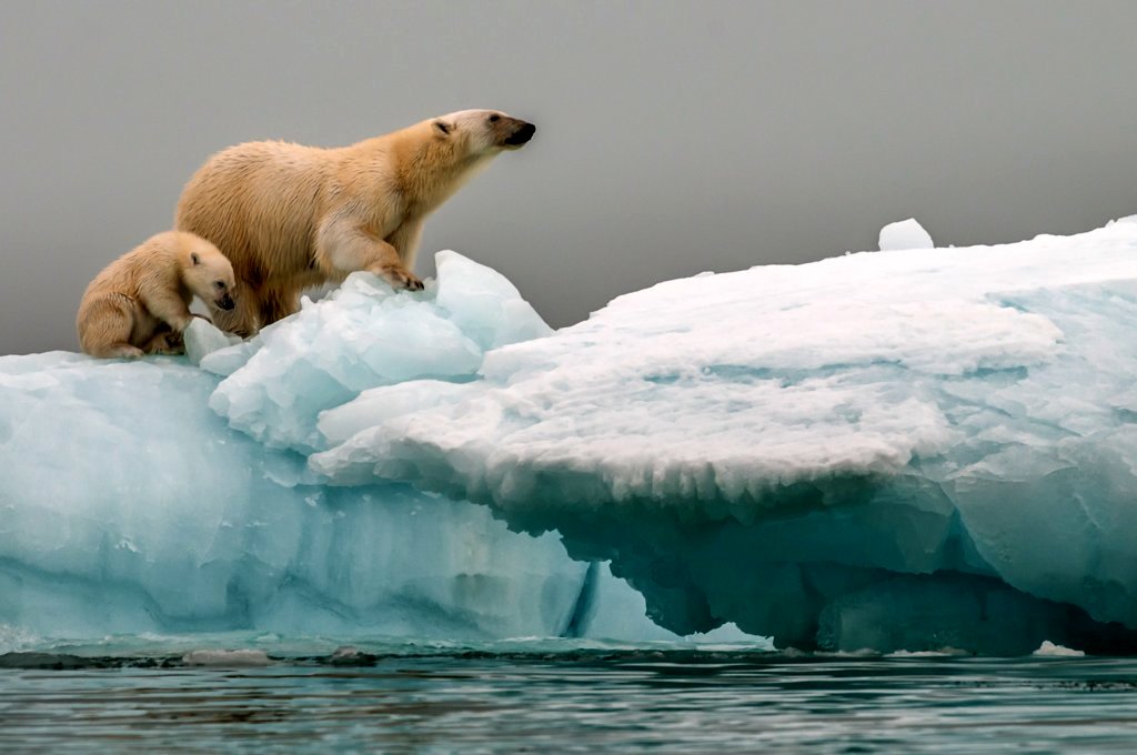 Photo from the movie Passport to the World: The Great North: From Greenland to Siberia [2018]
