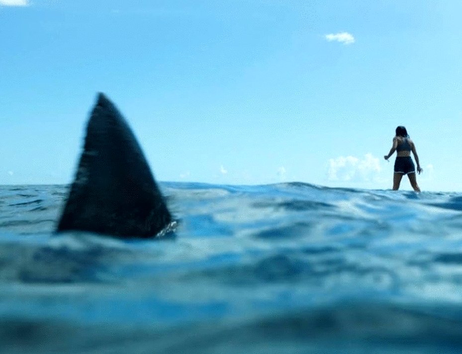 Photo from the movie Something in the Water [2024]