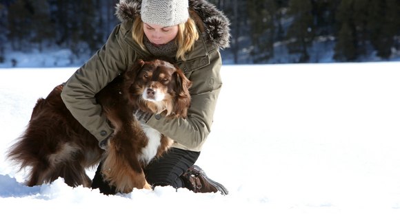 Photo from the movie Voyez comme ils dansent