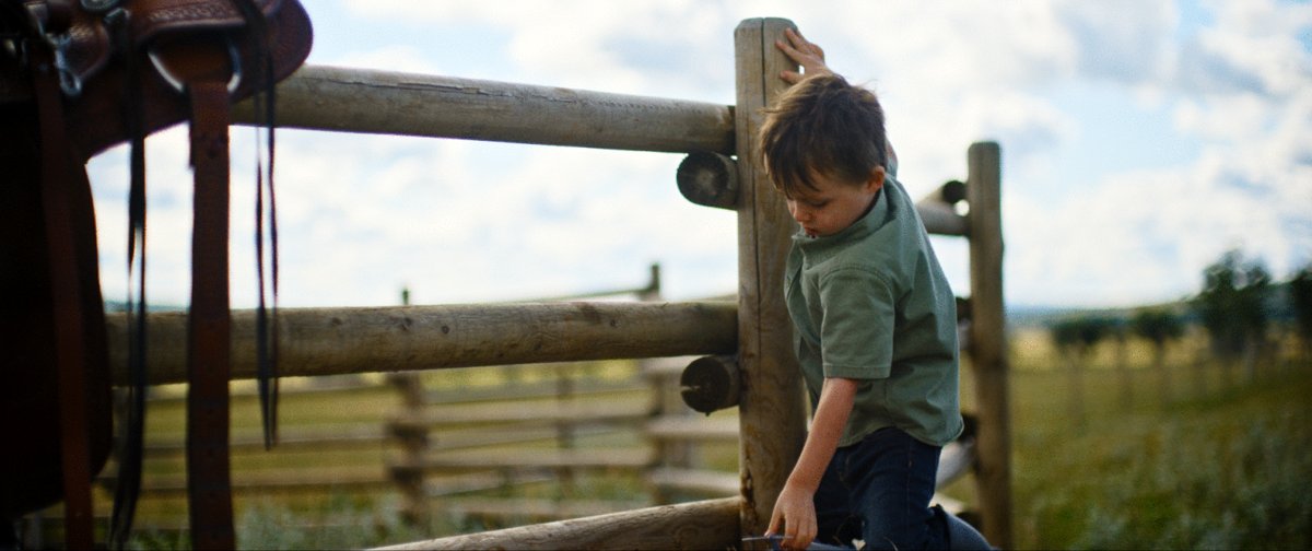 Photo from the movie The Birds Who Fear Death