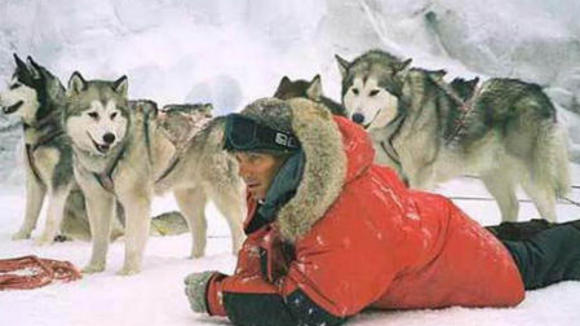 Photo from the movie Eight Below