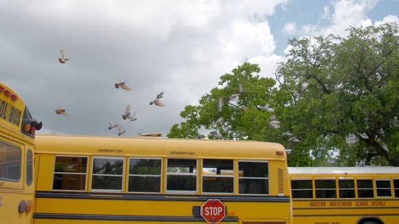 Photo from the movie Generation Found [2016]