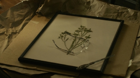 Photo du film Millénium: Les hommes qui n'aimaient pas les femmes