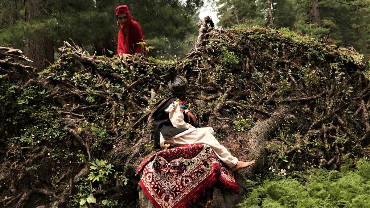 Photo from the movie Laila Aur Satt Geet [2020]