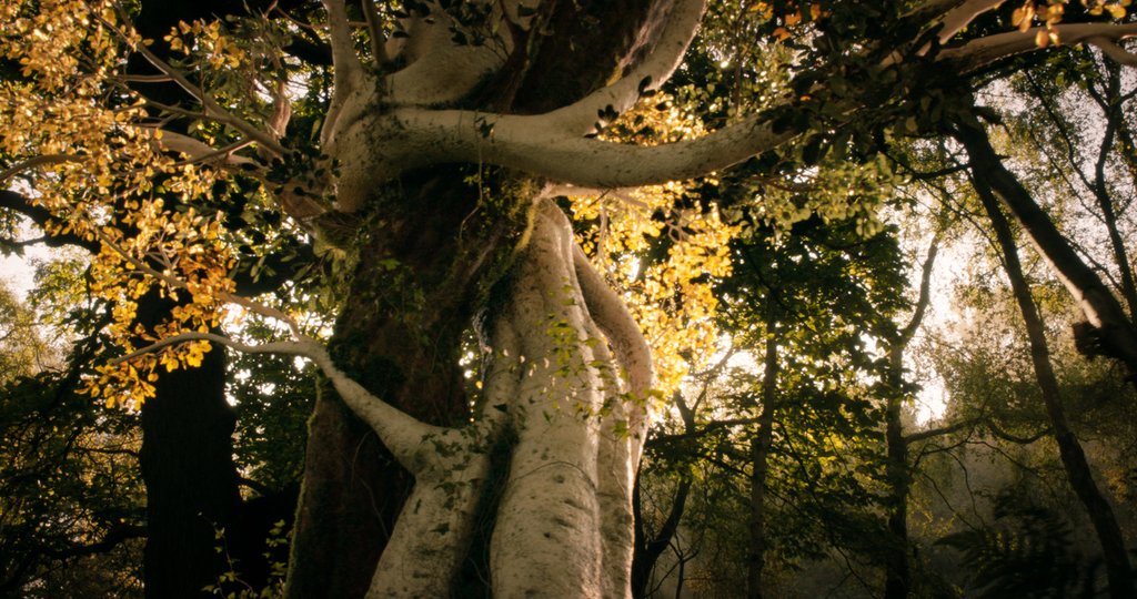 Photo from the movie Tolkien